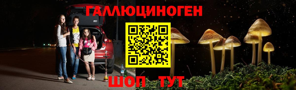 что такое наркотик  Галлюциногенные грибы GOLDEN TEACHER  Вход с VPN  Кумертау  Галлюциногенные грибы Psilocybe 